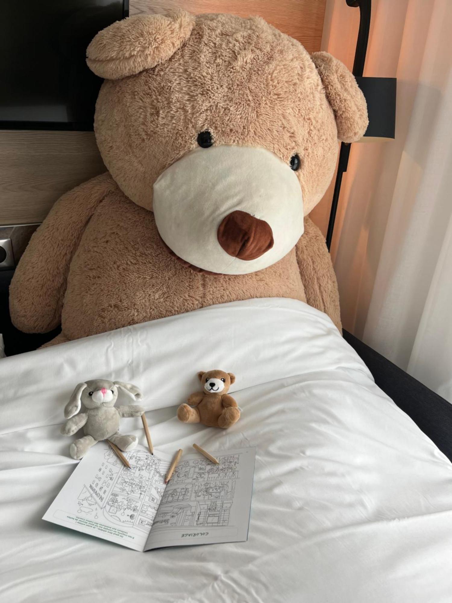 Novotel Centre Gare Hotel